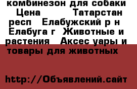 комбинезон для собаки › Цена ­ 350 - Татарстан респ., Елабужский р-н, Елабуга г. Животные и растения » Аксесcуары и товары для животных   